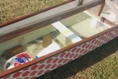 Resized_Resized_20260117_090604_1768679325526_1768679337606