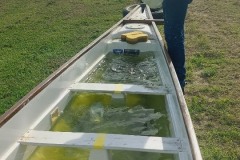 Resized_Resized_20260117_091608_1768679323492_1768679336615