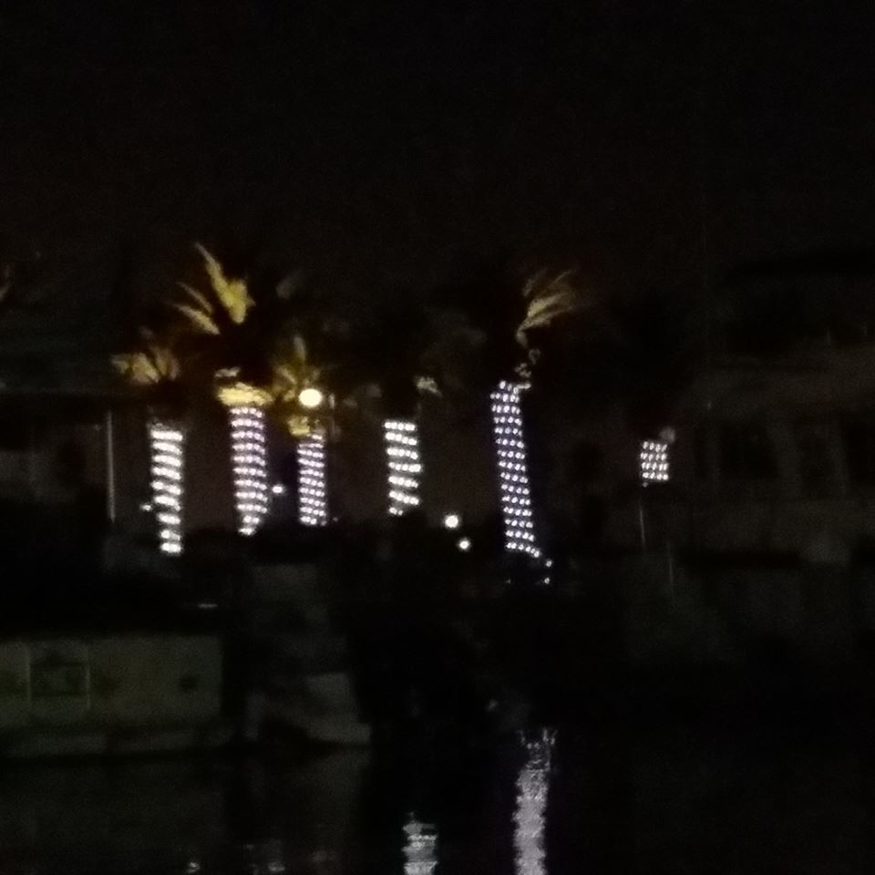 20190912-Moonlight-Paddle-4-lighted-palm-trees