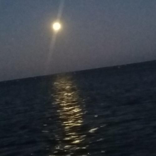 20190814-Moonlight-Paddle-2-the-moon