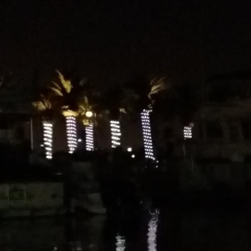 20190912-Moonlight-Paddle-4-lighted-palm-trees
